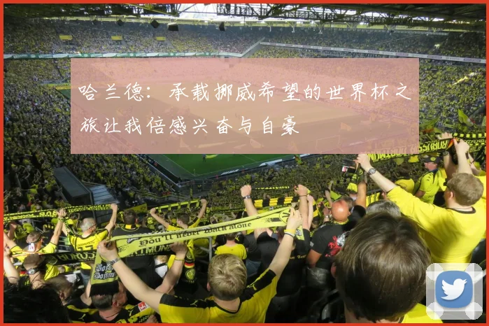 哈兰德：承载挪威希望的世界杯之旅让我倍感兴奋与自豪